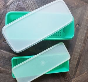 Tupperware containers, lot of 2